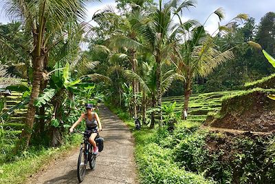 Volcans, plages et rizières : Bali et Java à vélo