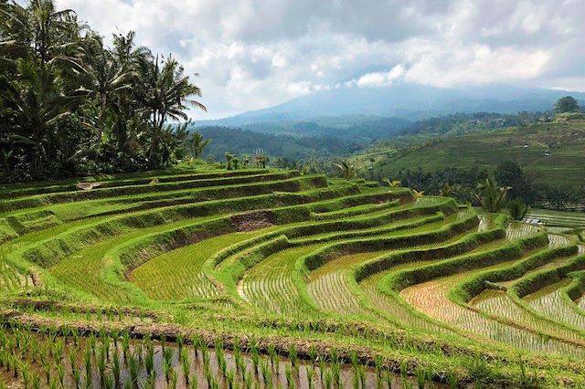 Voyage : Bali, rizières, mer et volcans Voyage Bali, rizières, mer et volcans