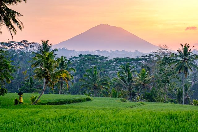 Bord de mer et îles : Grande traversée de Bali et ascension du Rinjani Voyage Grande traversée de Bali et ascension du Rinjani