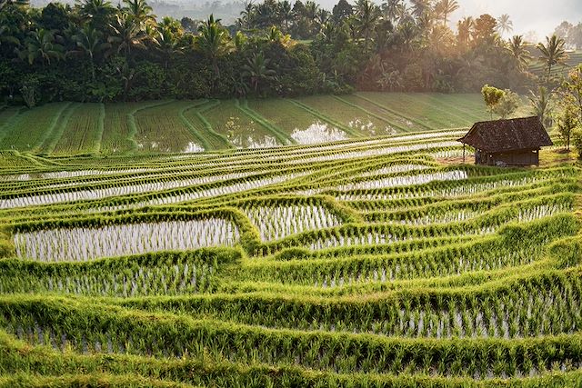 Bord de mer et îles : Grande traversée de Bali et ascension du Rinjani Voyage Grande traversée de Bali et ascension du Rinjani