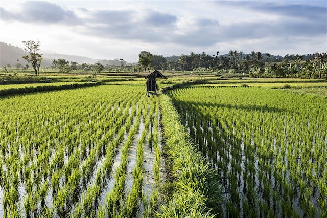 Patrimoine et Nature : Bali authentique Voyage Bali authentique