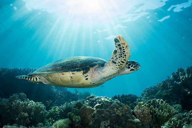 Patrimoine et Nature : Bali authentique Voyage Bali authentique