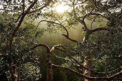 Voyage Forêts, collines, rivières et lacs Indonésie