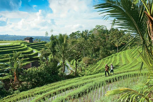 Voyage Des volcans de Java aux rizières de Bali