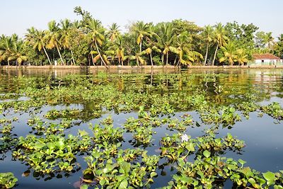 Voyage Forêts, collines, rivières et lacs Inde