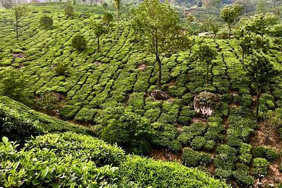 Voyage Forêts, collines, rivières et lacs Inde