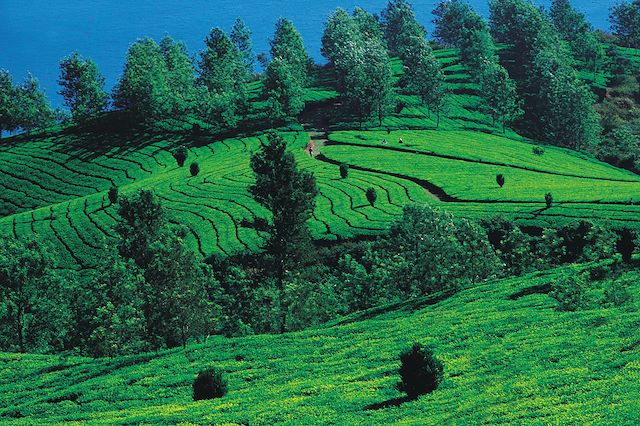 Voyage Du Bengale au Sikkim 