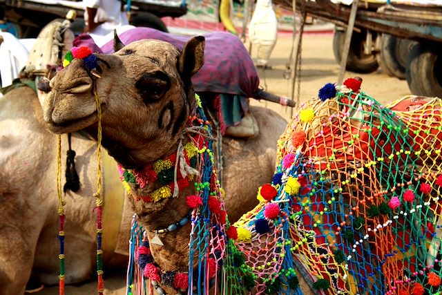 Voyage Tigres et maharajas