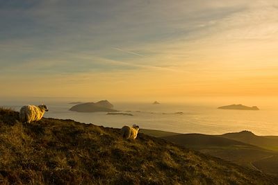 Voyage Bord de mer et îles Irlande