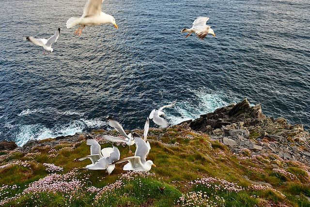 Voyage : Kerry : le royaume irlandais Voyage Kerry : le royaume irlandais