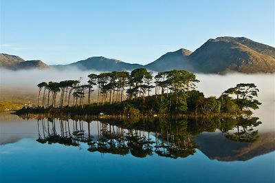 Voyage Irlande