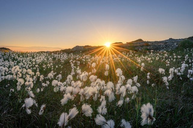 Forêts, collines, rivières et lacs : De Dublin aux îles du Connemara Voyage De Dublin aux îles du Connemara