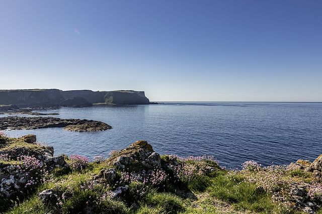 Voyage Du Connemara à la Chaussée des Géants
