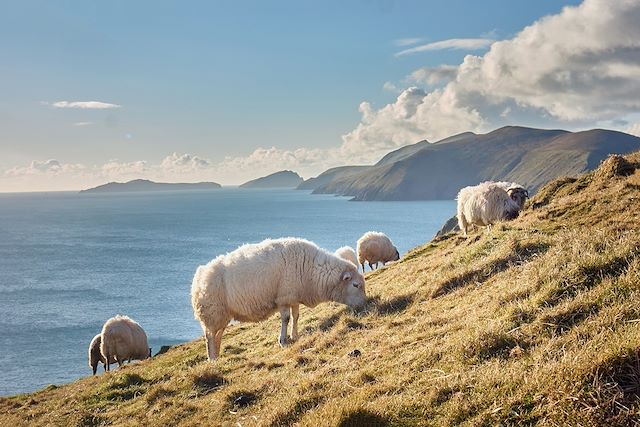 Voyage Iles et péninsules de l'ouest irlandais
