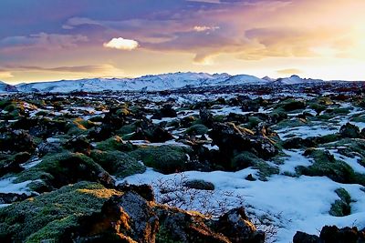 Islande - Aurores boréales et découverte hivernale