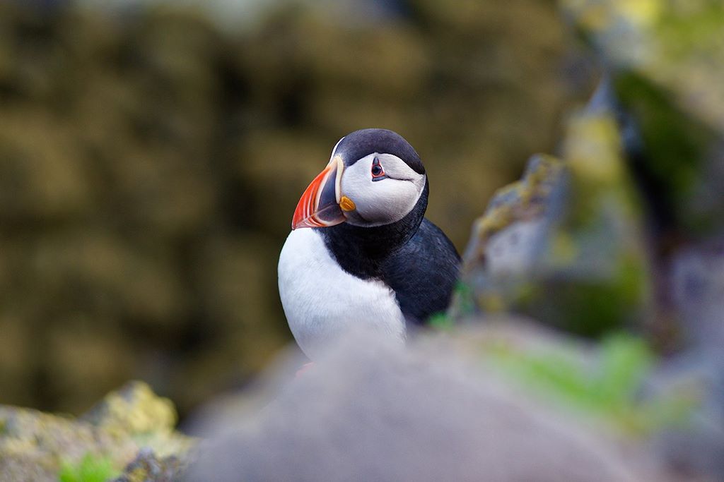 Islande : Voyages sur mesure