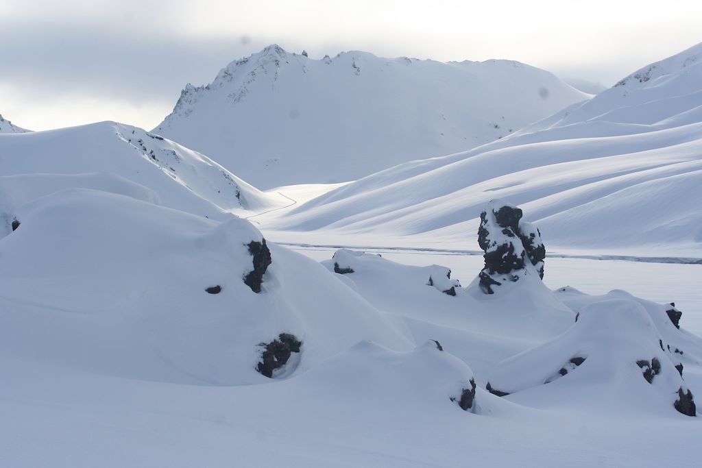 Islande : Circuits accompagnés