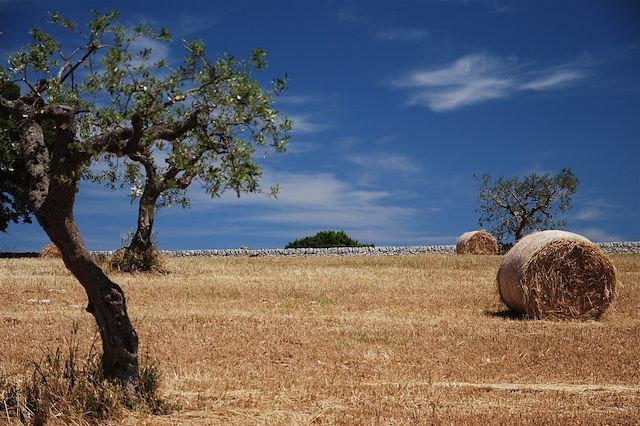 Voyage : Les Pouilles, le Salento à vélo Voyage Les Pouilles, le Salento à vélo