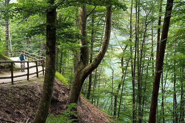 Voyage : Autour du lac de Garde à vélo Voyage Autour du lac de Garde à vélo