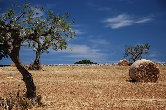Voyage Gastronomie, culture et soleil des Pouilles à vélo