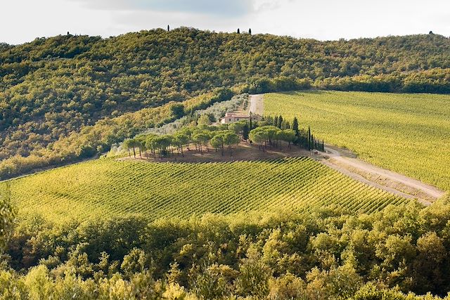Voyage Sur les crêtes toscanes, de Sienne au Val d'Orcia