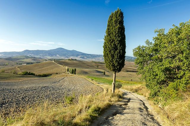 Voyage Sur les crêtes toscanes, de Sienne au Val d'Orcia