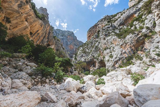 Voyage Découverte de la Sardaigne et du Golfe d'Orosei