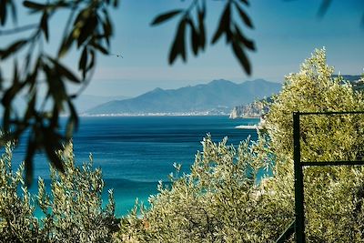 Voyage  Cinque Terre à la Toscane