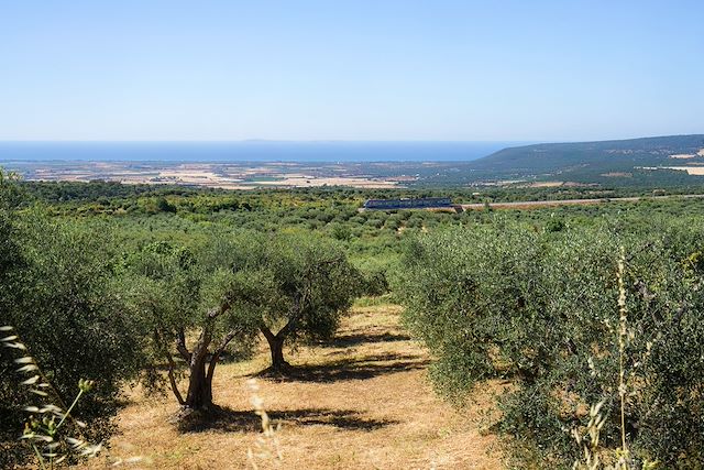 Voyage Pouilles secrètes : du Gargano à Matera