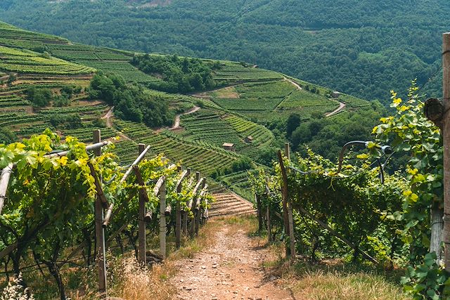 Voyage Des montagnes à la lagune : Bolzano - Venise