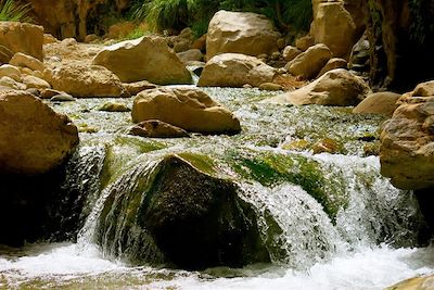 Voyage Montagne Jordanie