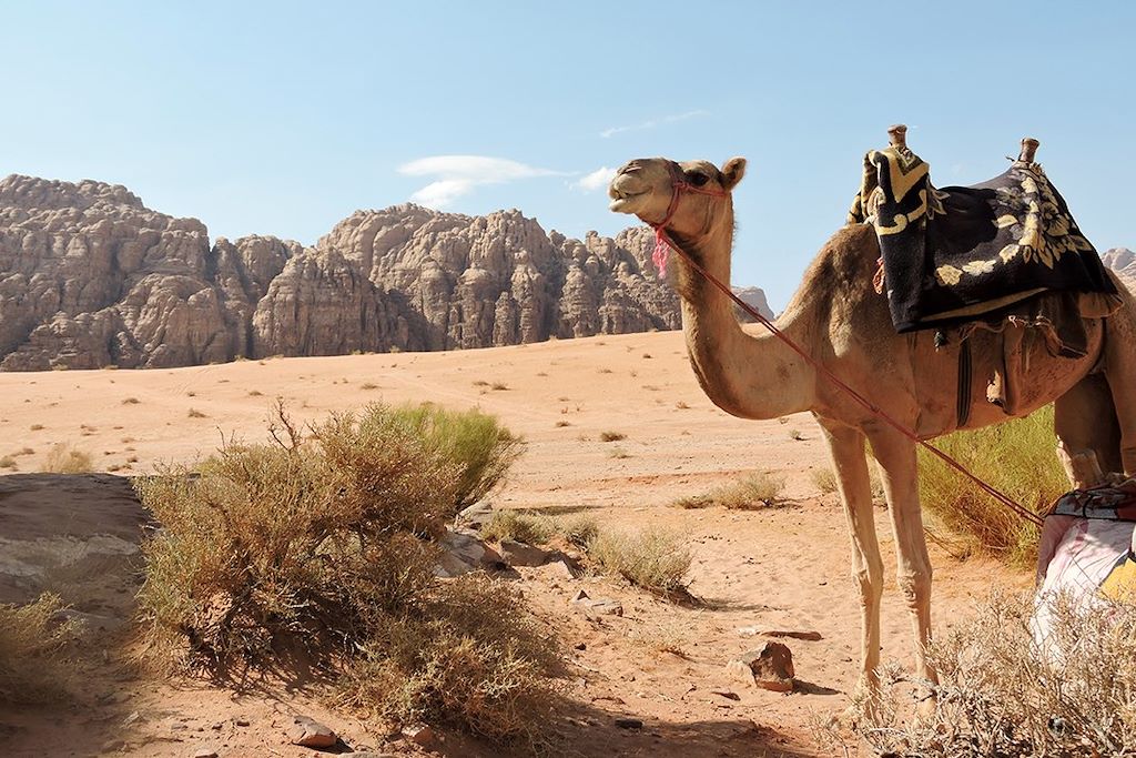 Voyage La fraicheur des plus beaux canyons jordaniens 2