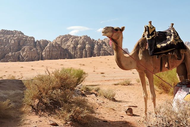Multi-activités : La fraicheur des plus beaux canyons jordaniens Voyage La fraicheur des plus beaux canyons jordaniens