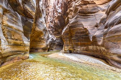 Voyage Désert Jordanie