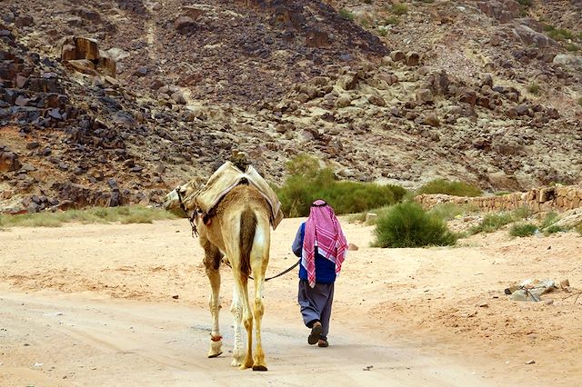 Autotour : Jordanie, royaume de roche et de sable Voyage Jordanie, royaume de roche et de sable