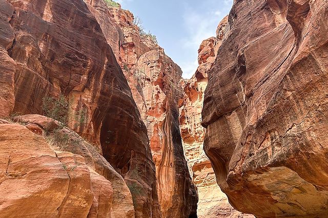 Voyage Les sentiers du désert jordanien