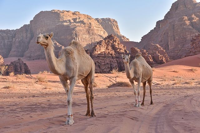 Voyage Exploration jordanienne, entre rando et rencontres