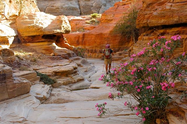 Voyage : Canyon de jardins suspendus et désert étoilé Voyage Canyon de jardins suspendus et désert étoilé