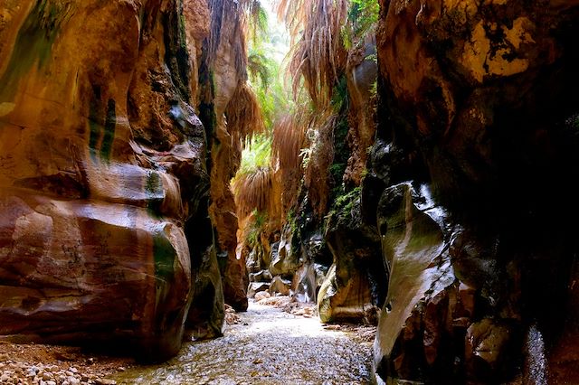 Voyage : Canyon de jardins suspendus et désert étoilé Voyage Canyon de jardins suspendus et désert étoilé