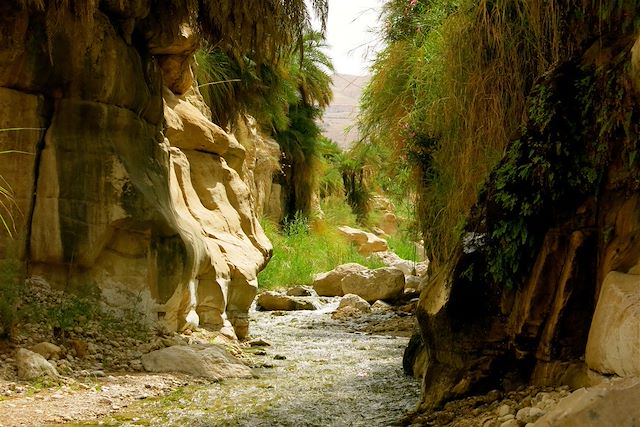 Voyage : Canyon de jardins suspendus et désert étoilé Voyage Canyon de jardins suspendus et désert étoilé
