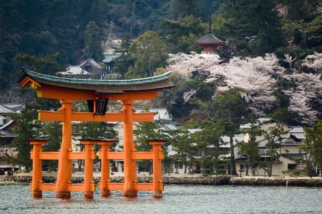 Voyage L'essentiel du Japon, de Tokyo à Miyajima 3