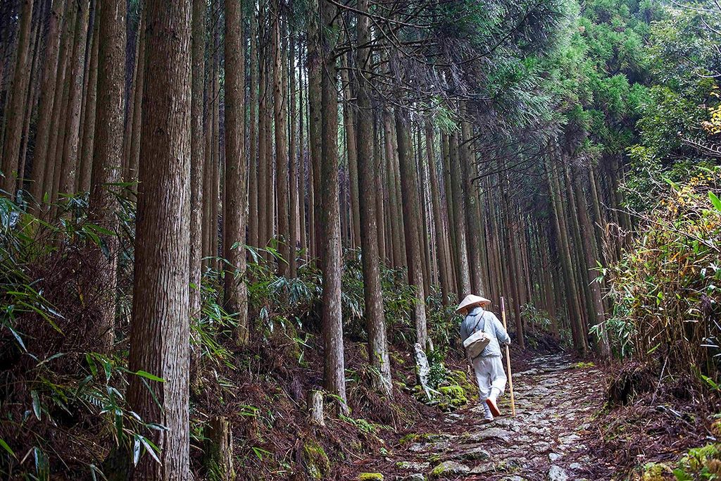 Voyage Japon