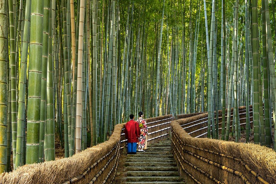 Randonnée Japon