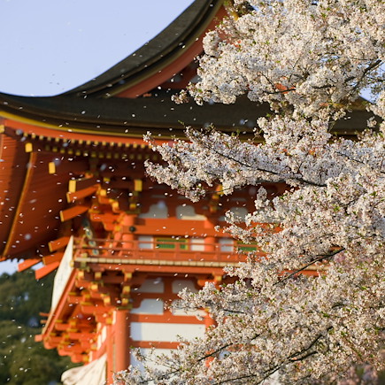 Voyage Japon