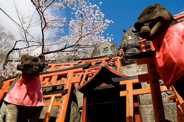 Découverte : Voyage insolite au Japon, de Tokyo à Miyajima Voyage Voyage insolite au Japon, de Tokyo à Miyajima