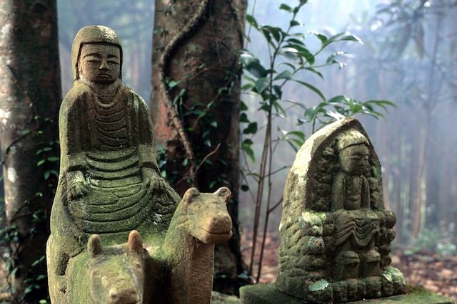 Tokyo : Du Kumano kodo à l'ancienne route des montagnes  Voyage Du Kumano kodo à l'ancienne route des montagnes