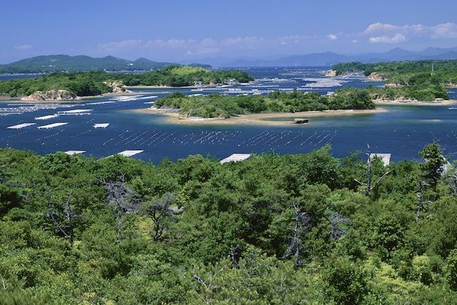 Voyage Découverte du Japon, de Tokyo à Kyoto