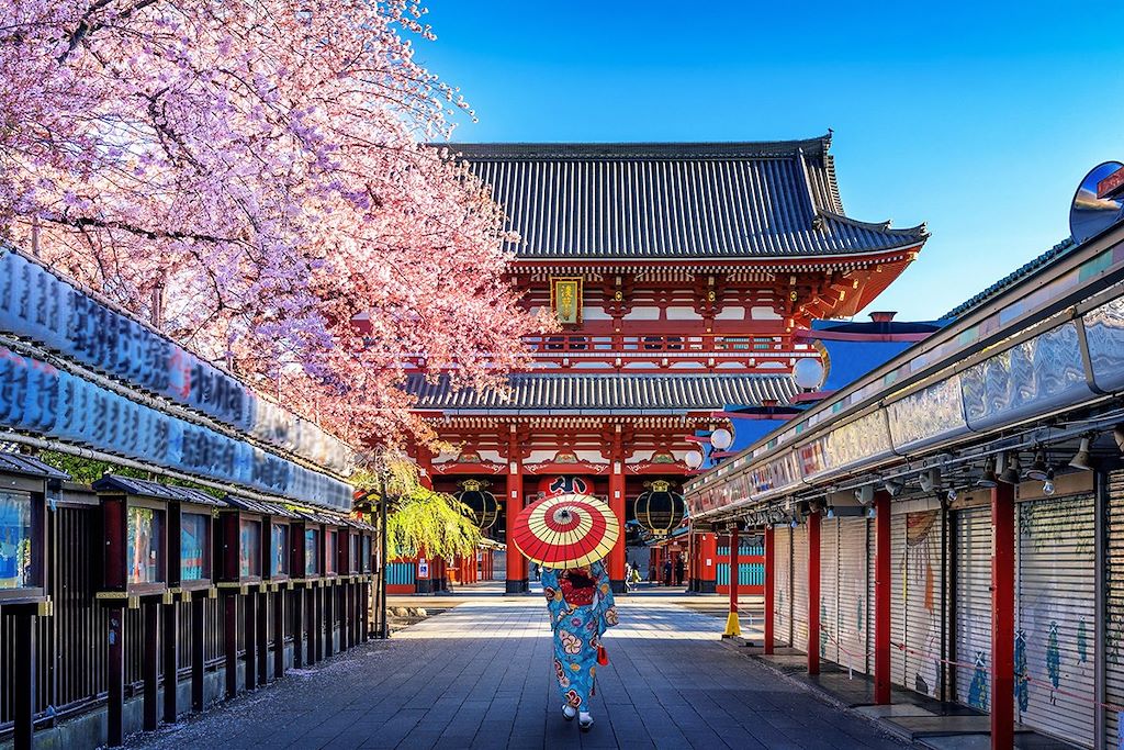 Japon : Circuits accompagnés