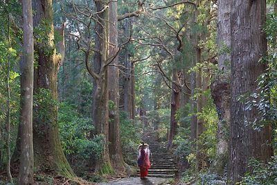 Voyage Patrimoine et Nature Japon