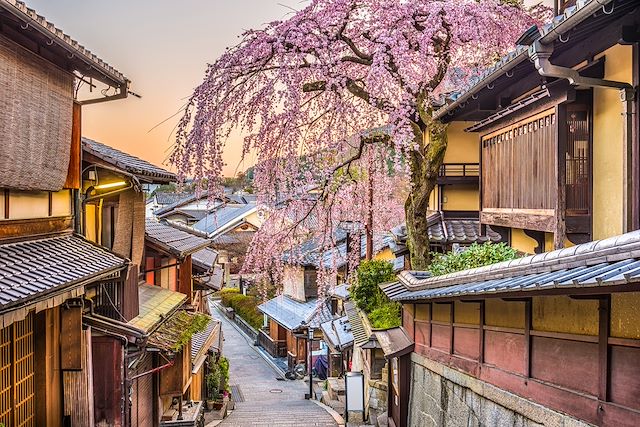 Voyage Grande découverte du Japon